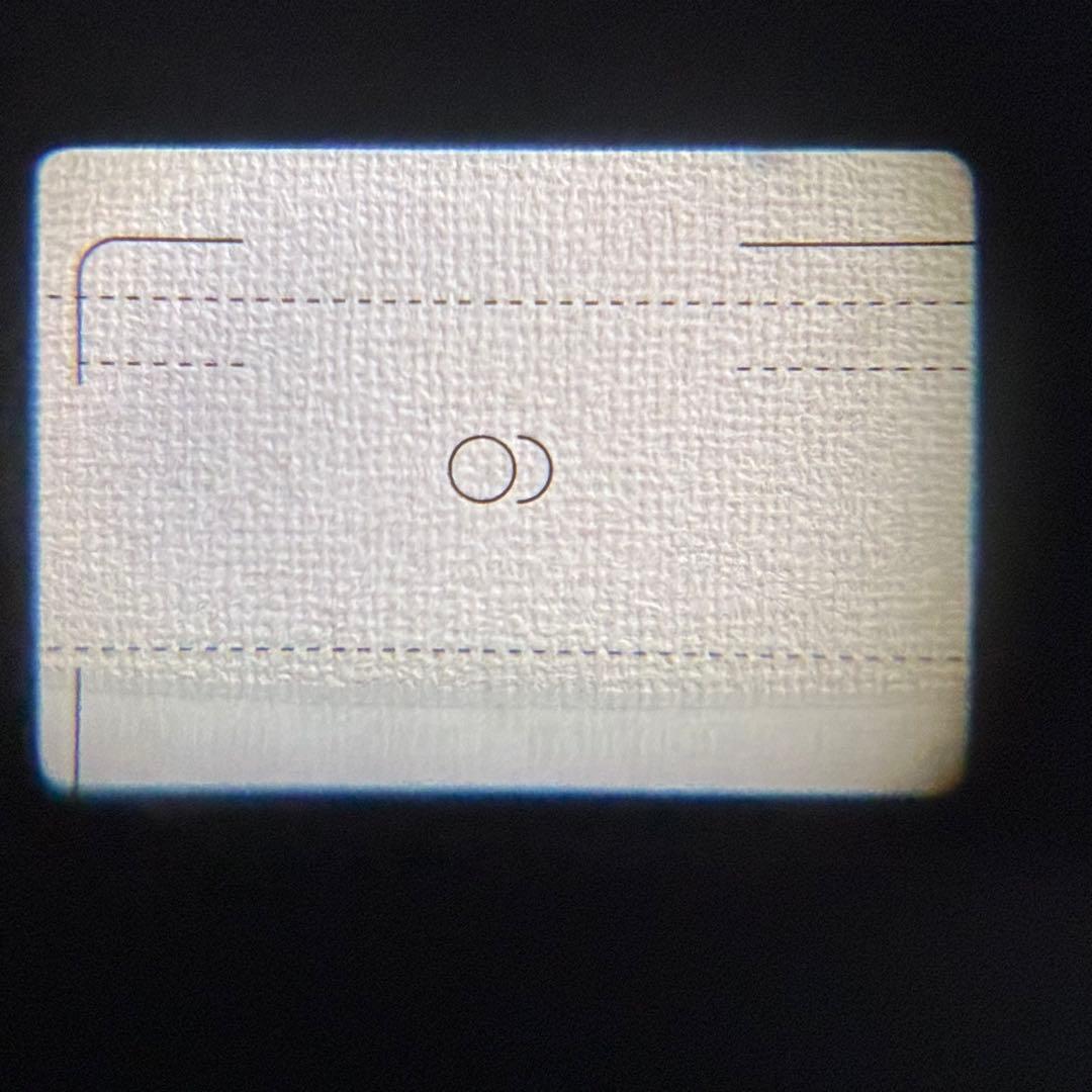 Nikon AF600 PANORAMA ニコン コンパクトフィルムカメラ