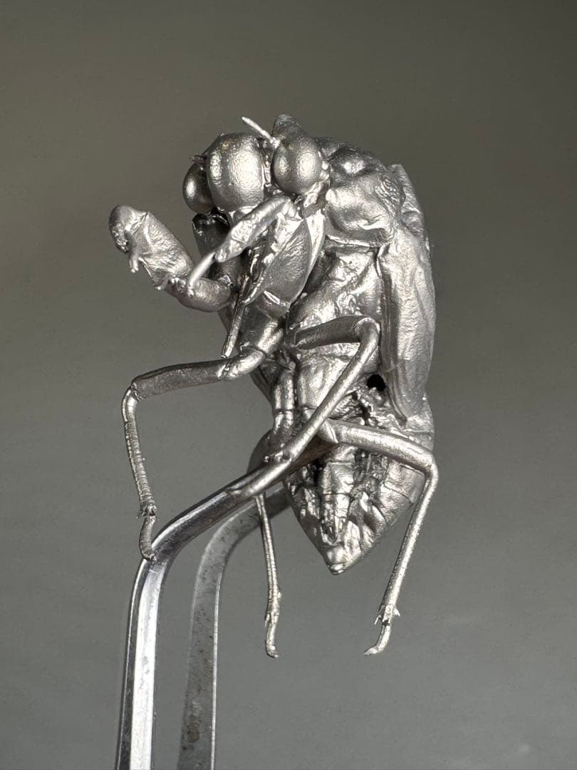 蝉　蝉の抜け殻　セミ　オブジェ　虫好き　金属製　標本