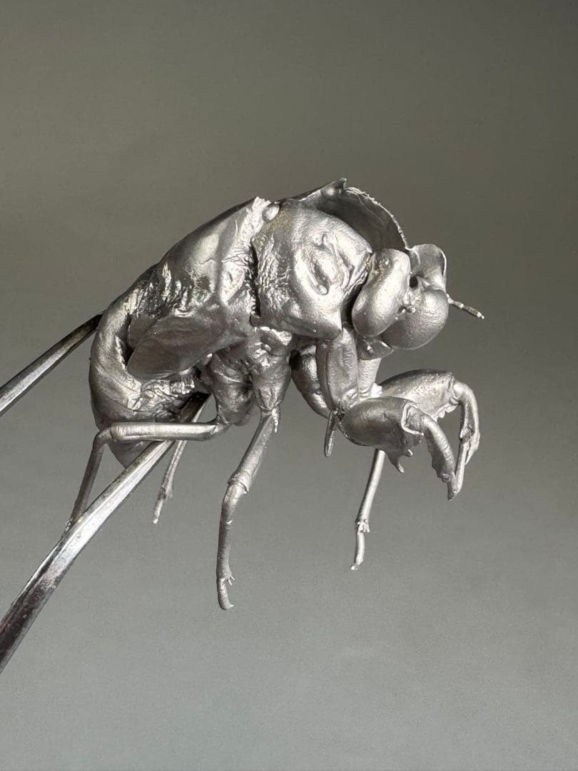 蝉　蝉の抜け殻　セミ　オブジェ　虫好き　金属製　標本