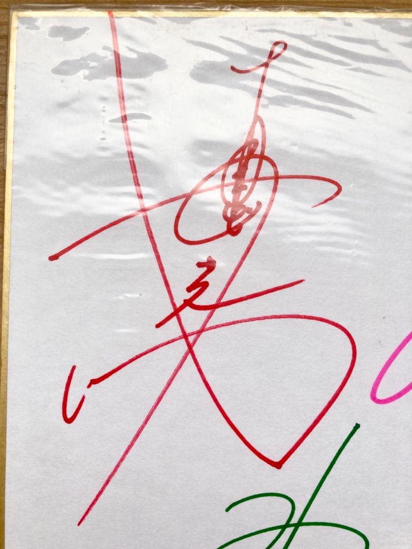 超レア「トーキョー・ガーディアン」 作者と声優4名寄せ書きサイン色紙 当選品