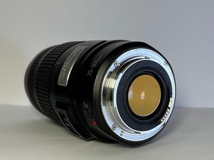 ★美品★ キヤノン EF 75-300mm F4-5.6 IS USM