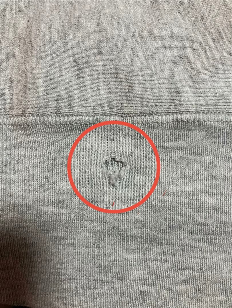 【貴重】champion リバースウィーブ スウェット 単色タグ　カプセル