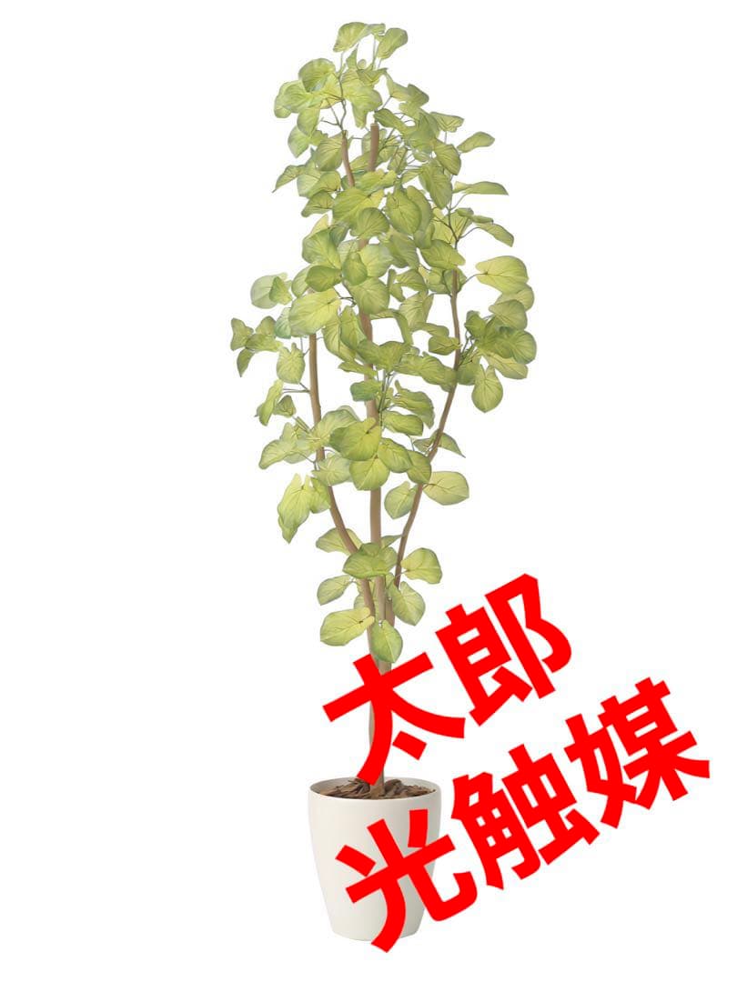 光触媒　人工観葉植物　ウォールグリーン　フェイクグリーン　スリムバウヒニア1.5