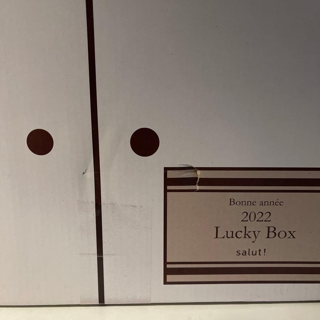 希少　salut 2022 ラッキーバッグ　福袋　おうち　サリュ　抜き取り無し