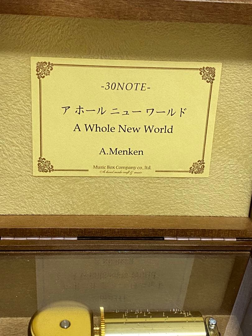 ディズニー アラジン 小樽オルゴール A Whole New World ⁺˳✧