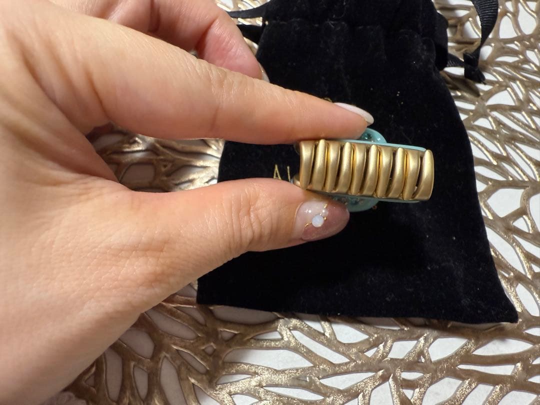 アレクサンドルドゥパリ★ヘアクリップセット