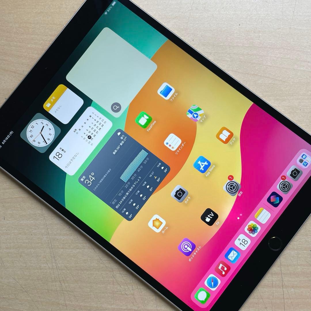 iPad Pro 10.5インチ　A1701 スペースグレイ64GB 美品　#3