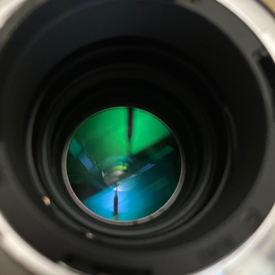 良品Tokina AT-X SD 300mm f2.8 (Fマウント) 作例あり