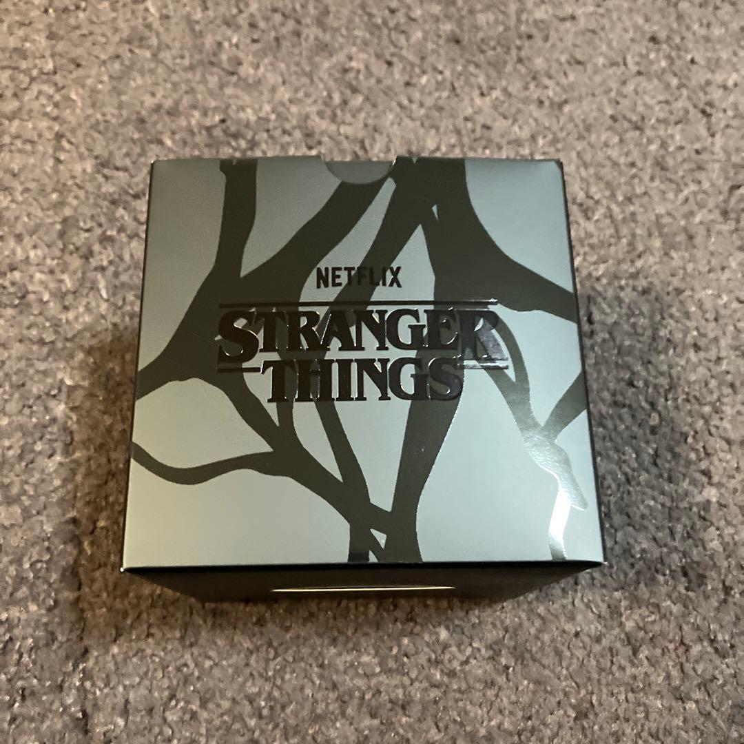 DW-5600STT-1JR カシオ CASIO G-SHOCK