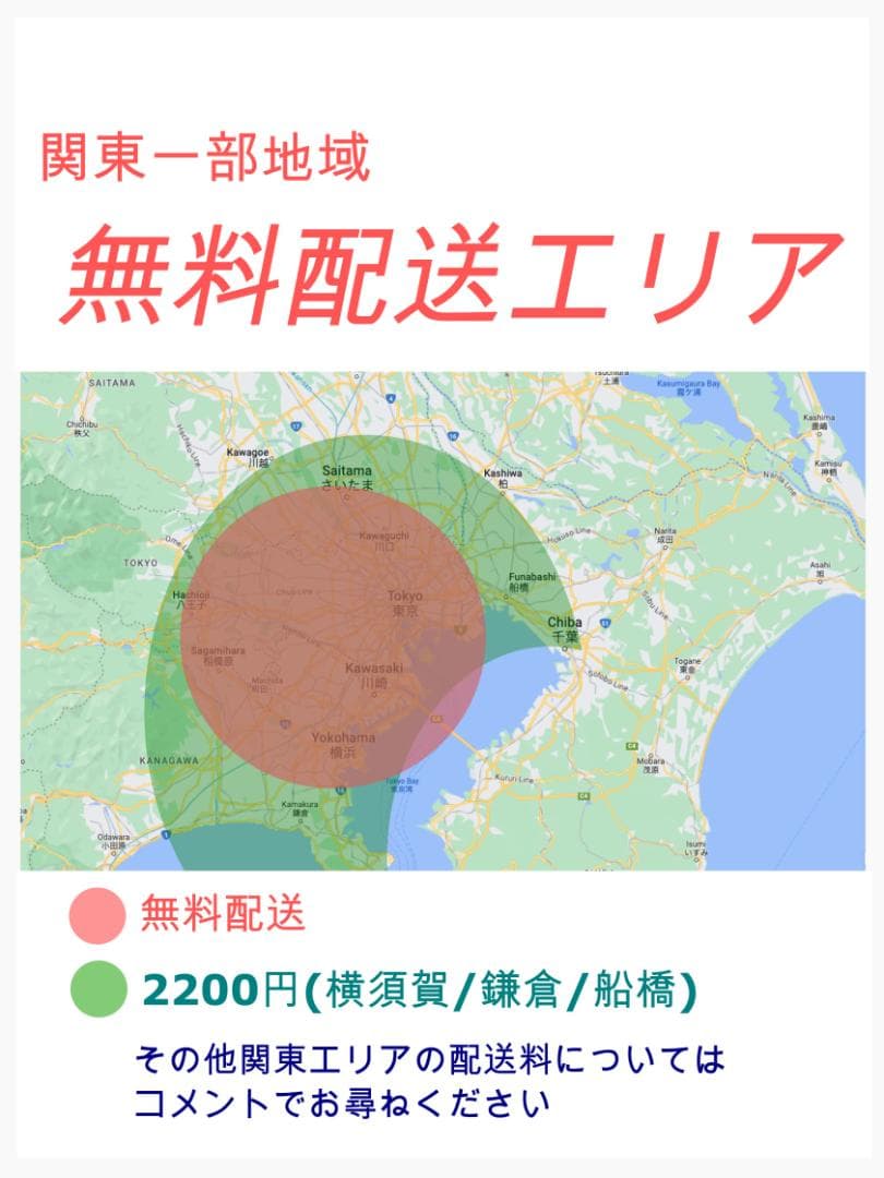 超特価 No1モデル ホワイト ギュット子供乗せ電動アシスト自転車 H1568