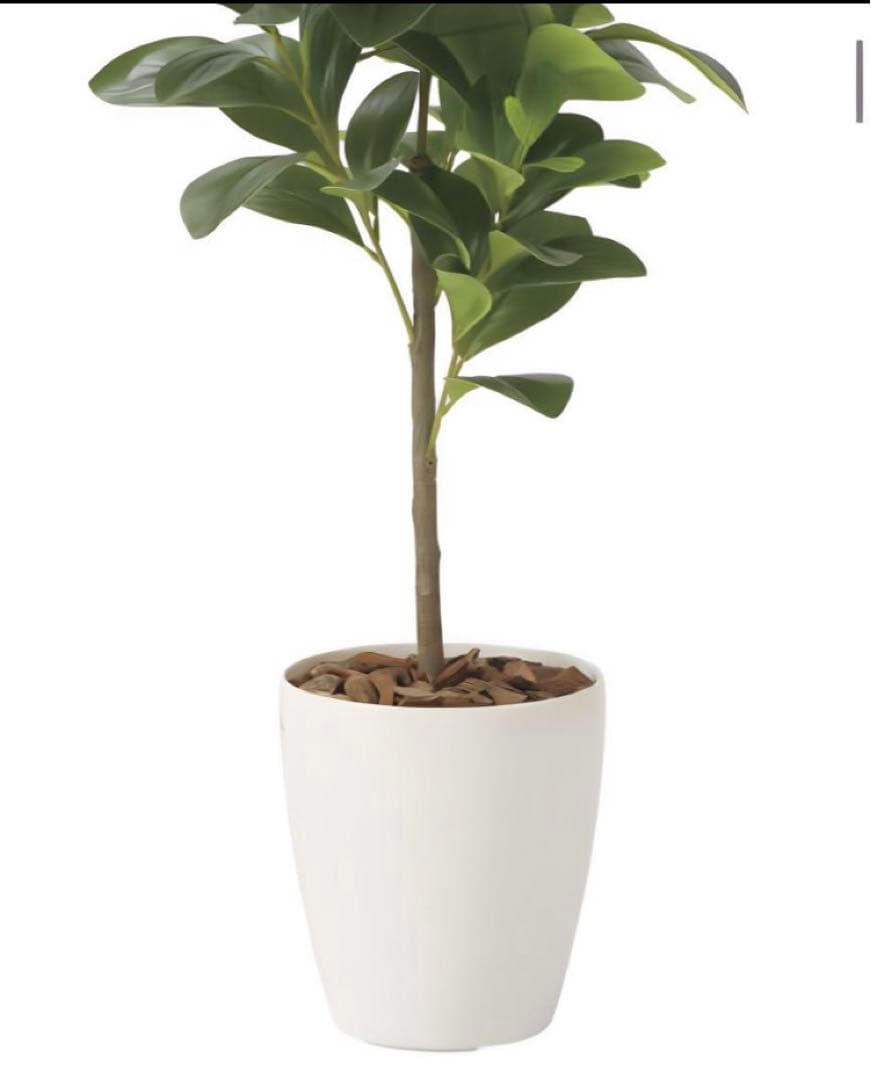 光触媒　人工観葉植物　フェイクグリーン　フレッシュマネーツリー 90
