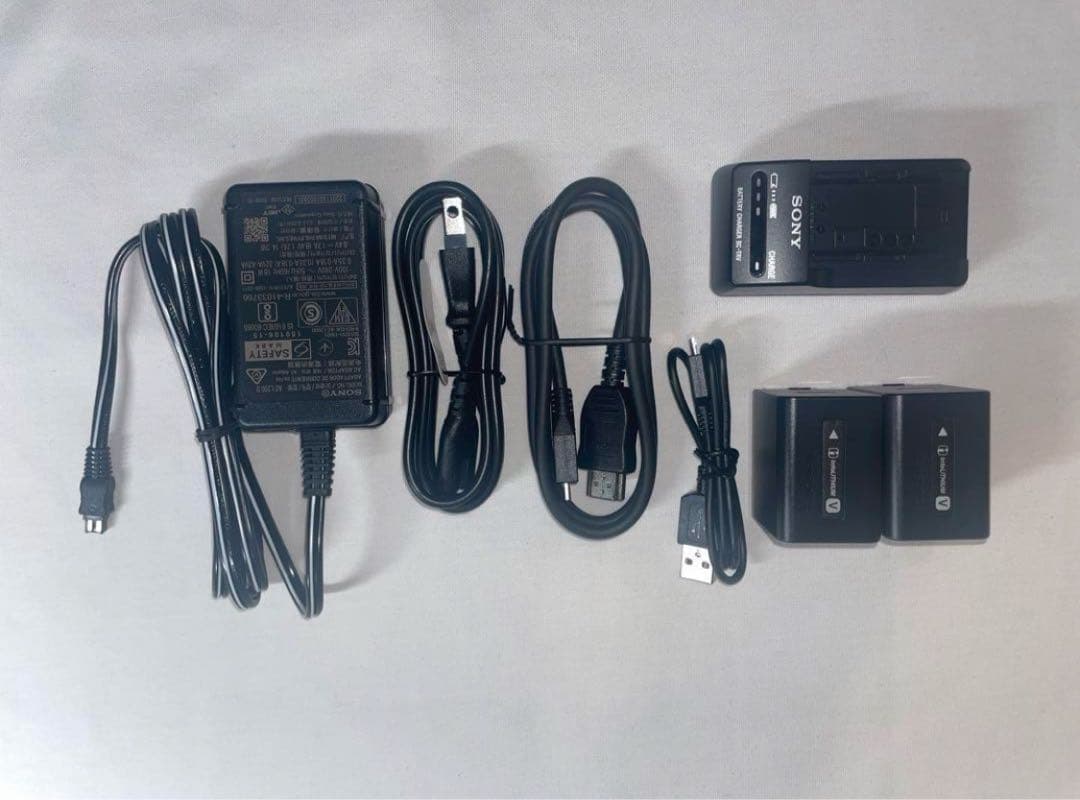 値下げFDR-AX45A)Bバッテリー✖️2充電器カメラ専用バック記録用カード付き