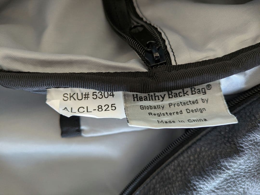 希少レザー！ The Healthy Back Bag M　黒　男女