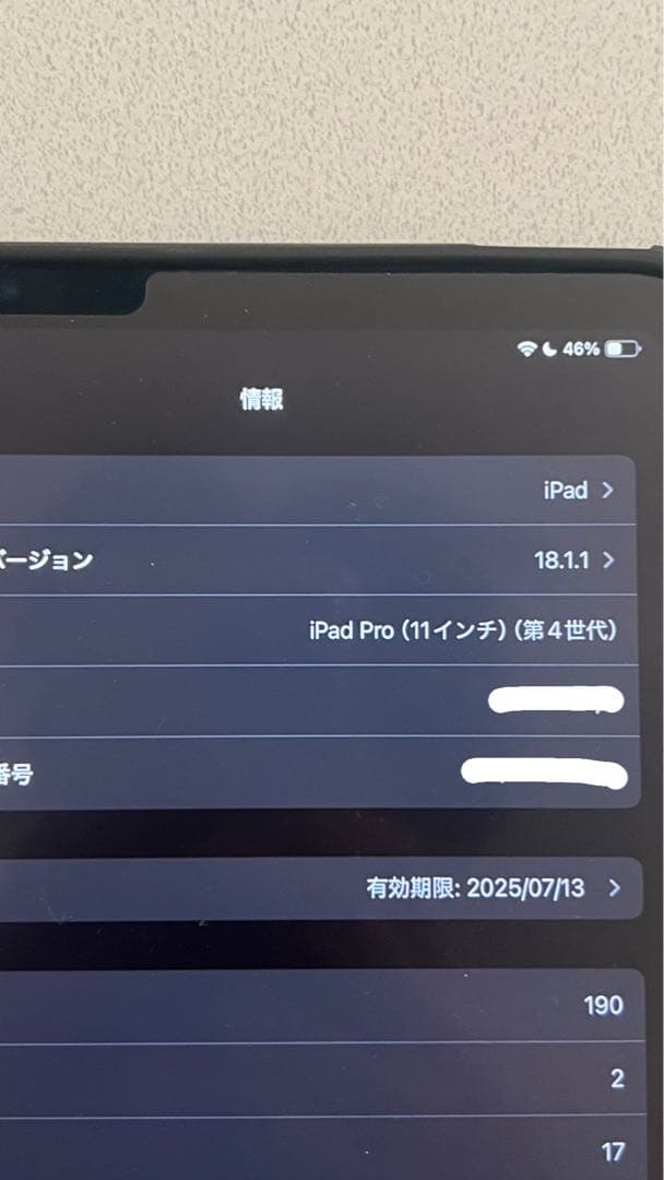 iPad pro 11 第4世代 WiFiモデル