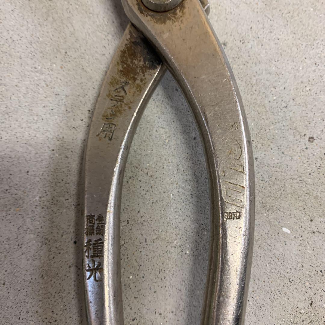 種光・たて切りハサミ