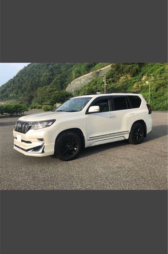 RS★R Ti2000 ダウンサス トヨタ プラド TRJ150W用