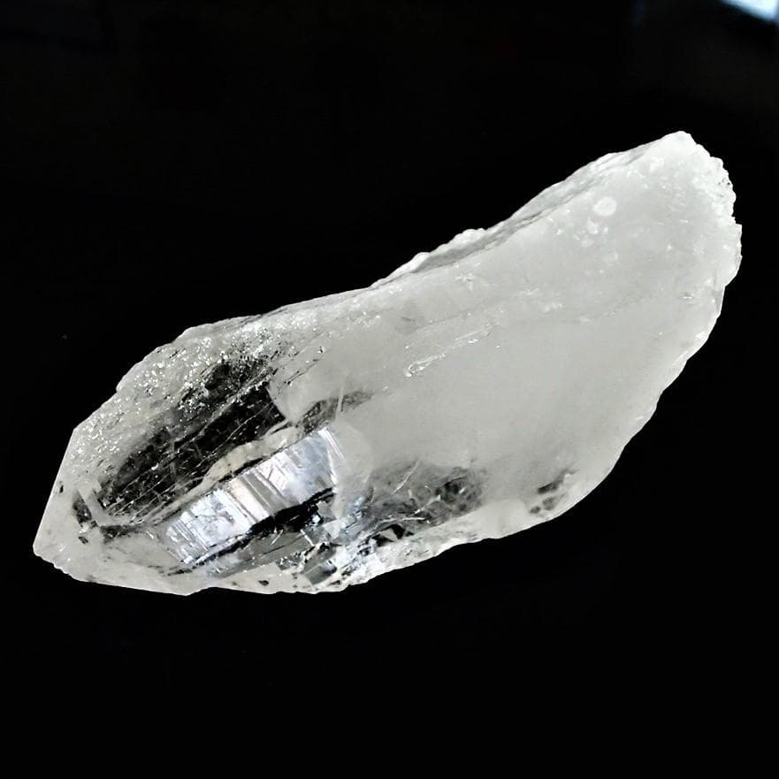 ラパ産ポイント-146-1