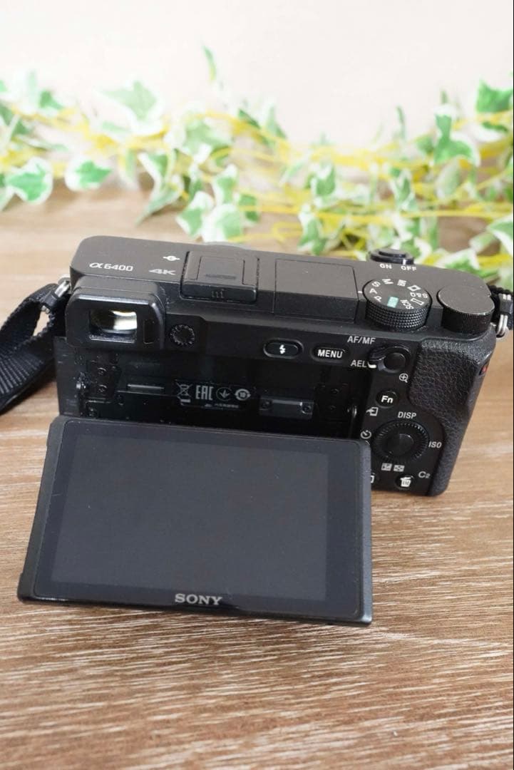 α6400 ソニーミラーレス一眼
