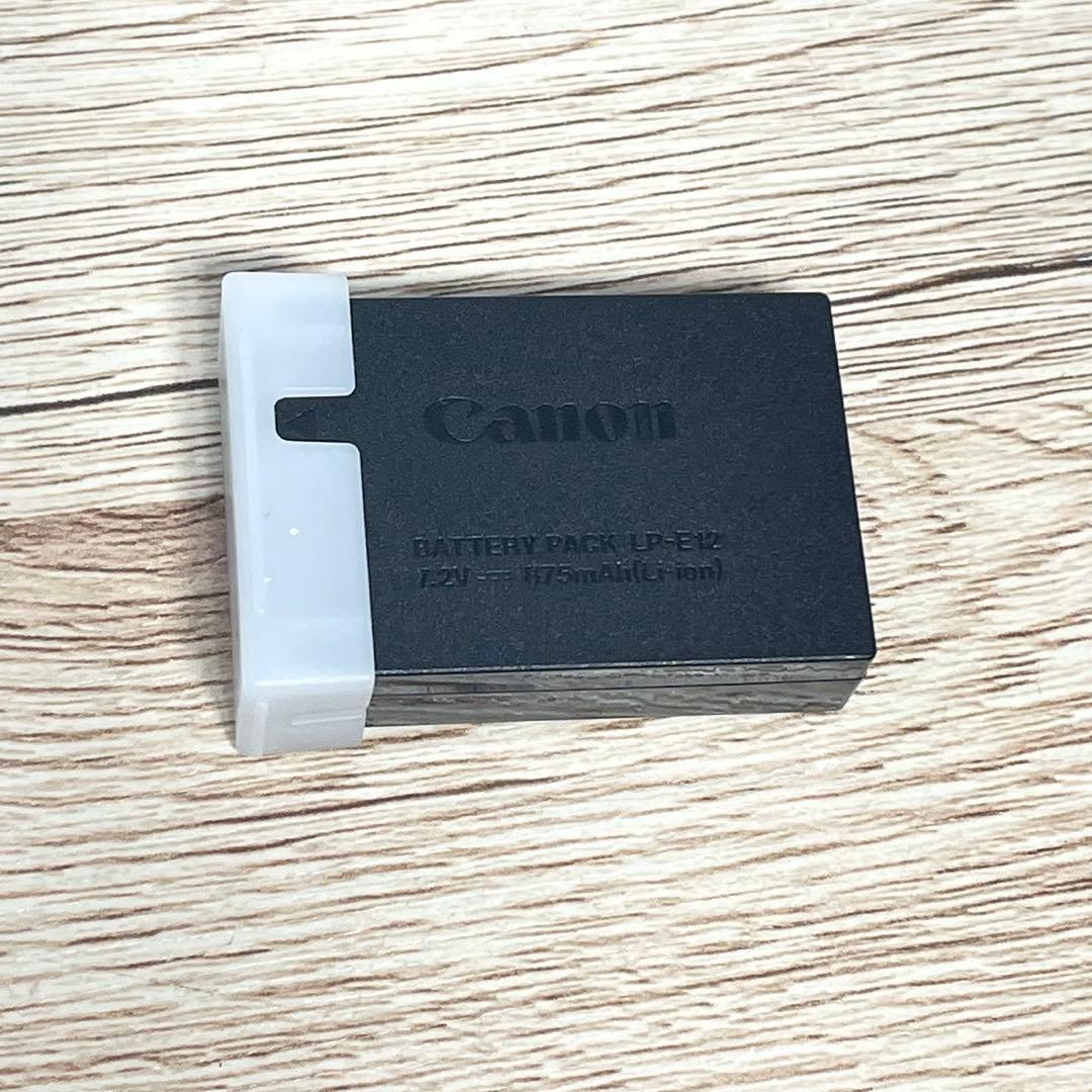 Canon EOS M100 ミラーレスカメラ レンズ付き D10