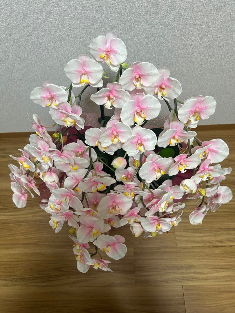 ピンク 胡蝶蘭 スタンド花 リボン付き