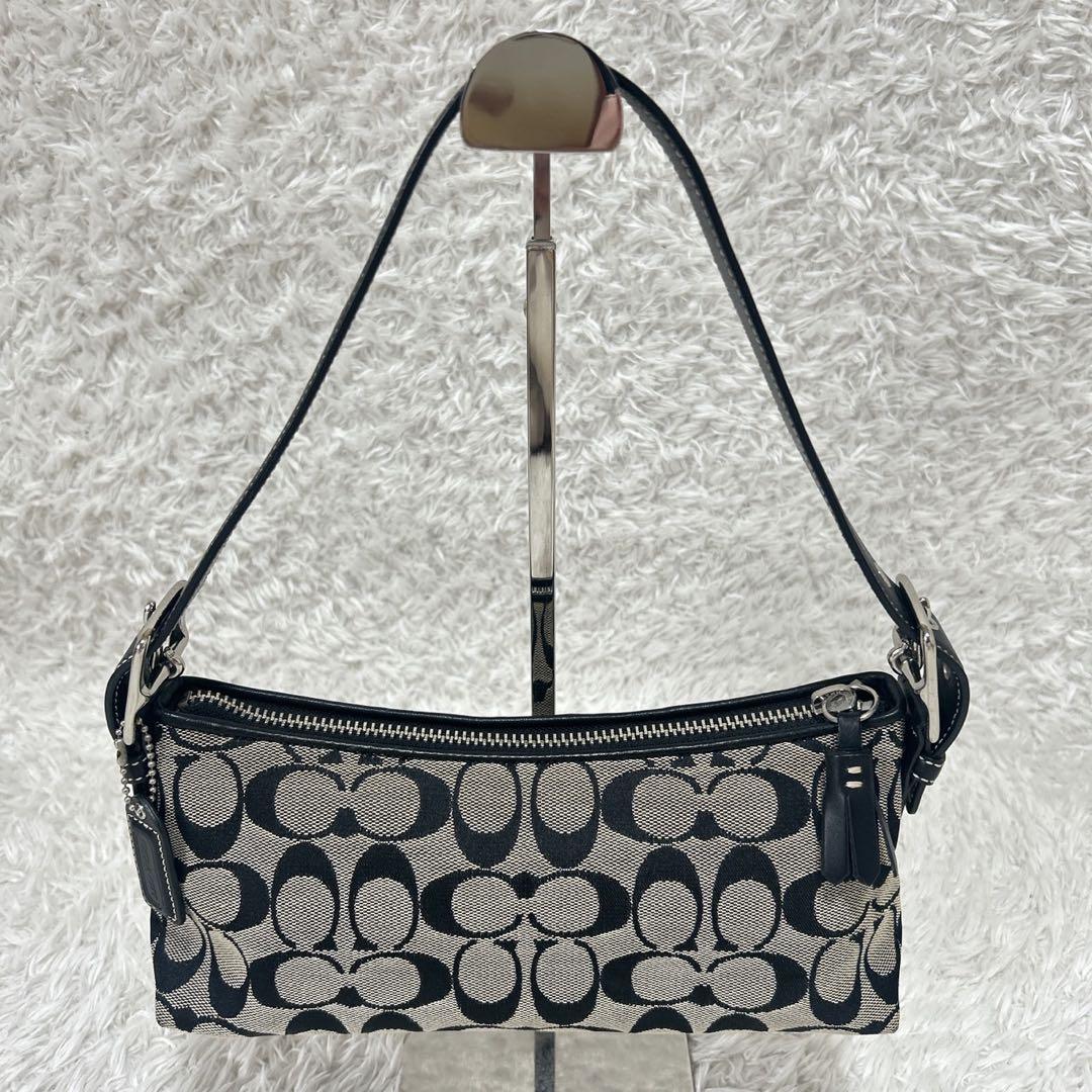 COACH アクセサリーポーチ ワンショルダー シグネチャー タッセル