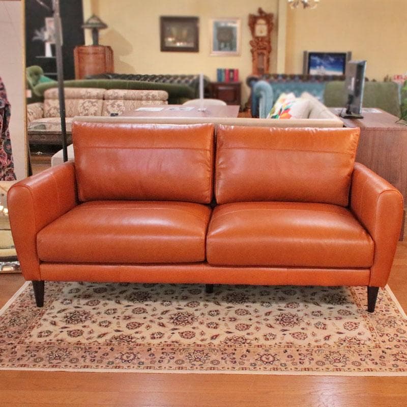 三人掛けソファ オイルレザー 革張り 本革 高級 リビング 668-047