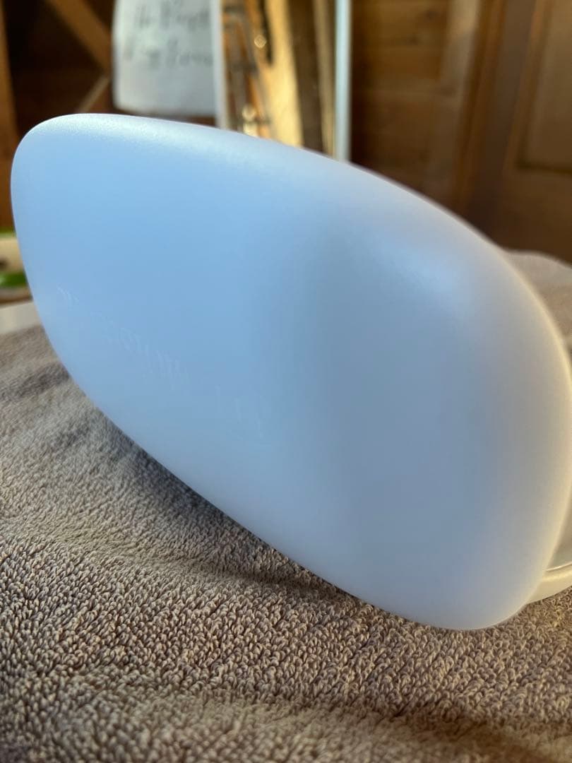 りんご様用【モイスティーヌ】スキンコンディショナー IV（美顔器） /動作確認済