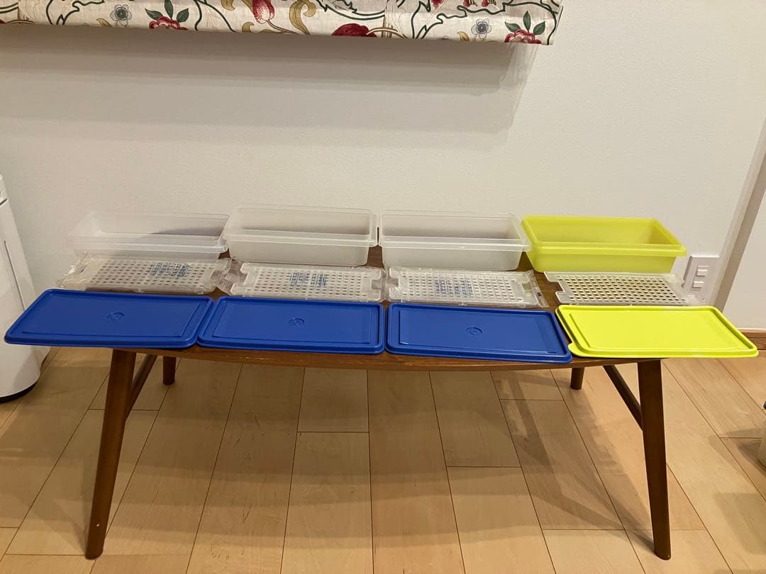 タッパーウェアSS 中３つ小１つ　すのこ付き