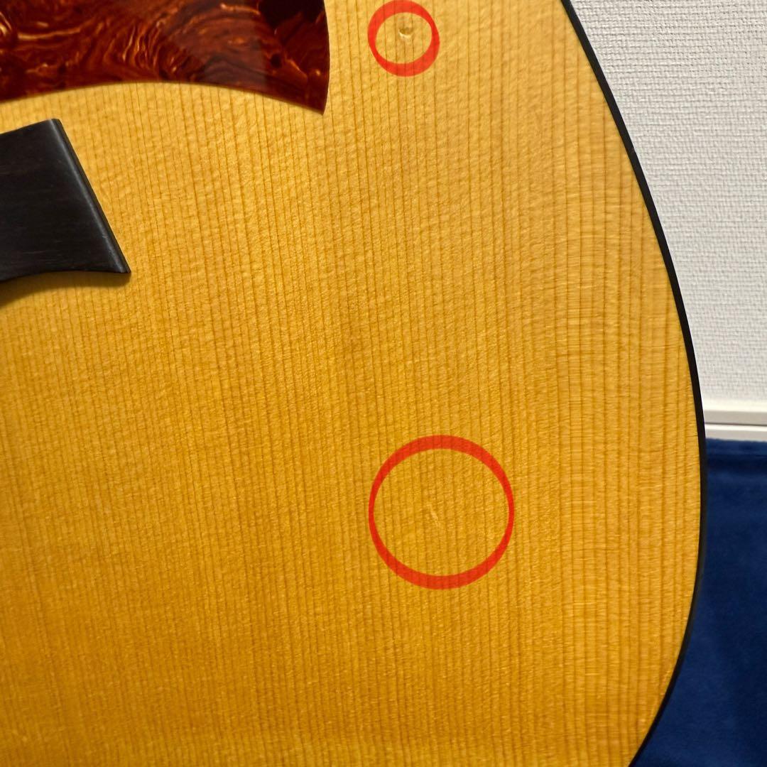 【価格以上の音】 Taylor 210e エレアコ ケース付