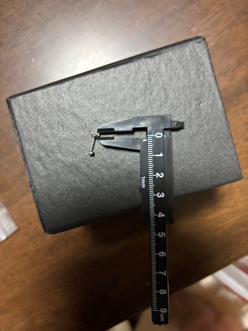 ⭐︎19pt900 ピアス