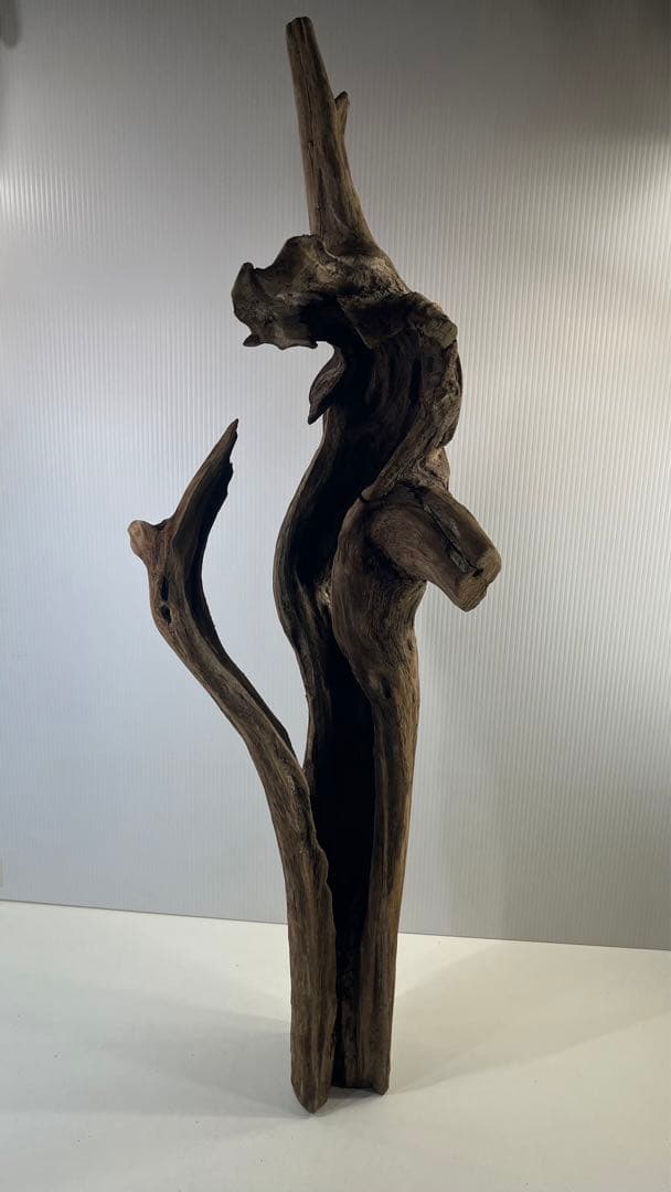 R71特大流木 アク抜き済み流木 爬虫類シェルター 登り木 インテリア 生け花