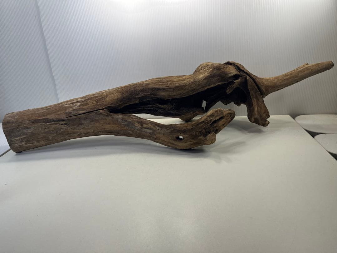 R71特大流木 アク抜き済み流木 爬虫類シェルター 登り木 インテリア 生け花