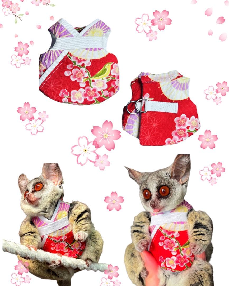 【10/20〜ハンドメイド販売終了】小動物ハーネスオーダー受け付け