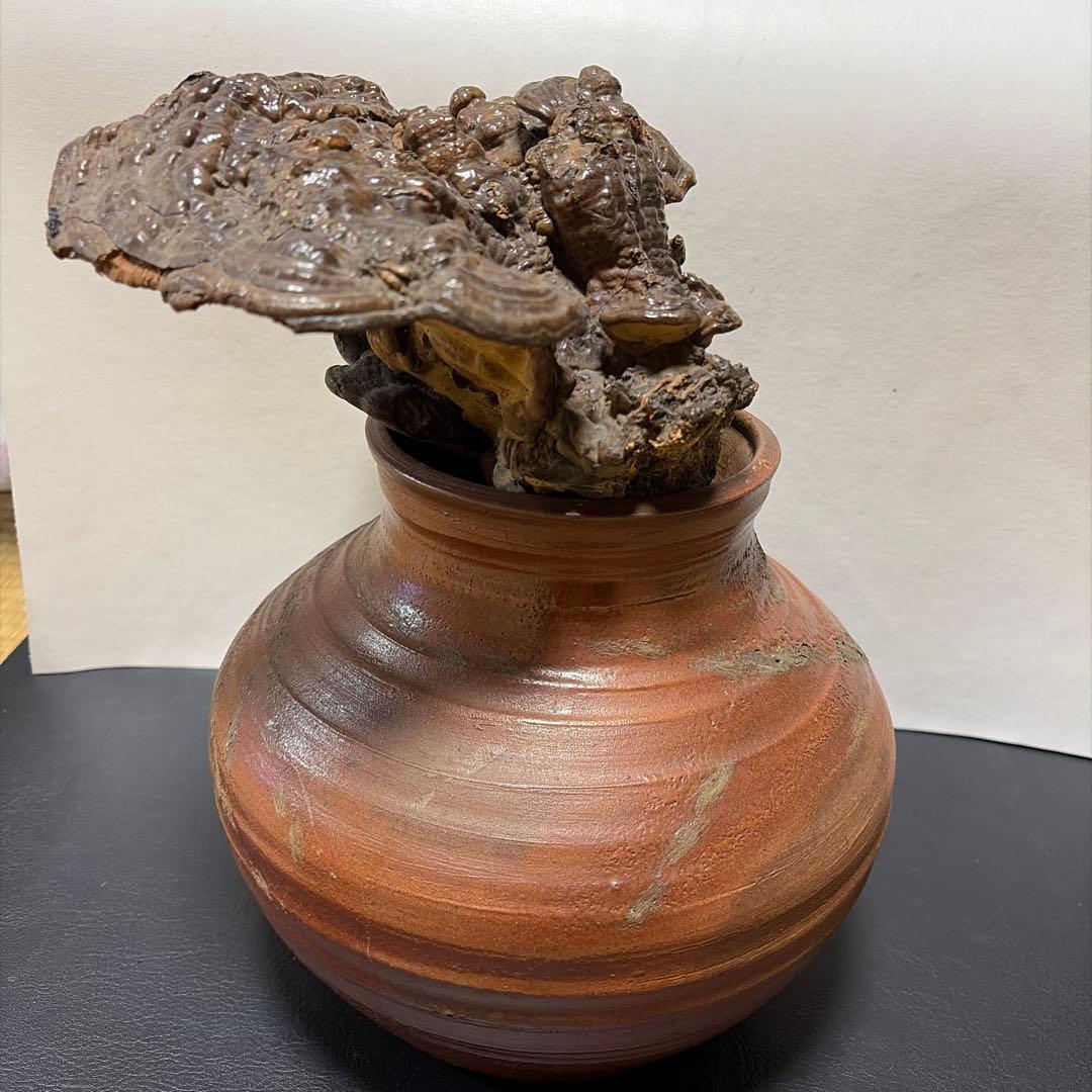 古備前　備前焼　壺　＆　サルノコシカケ　蓋