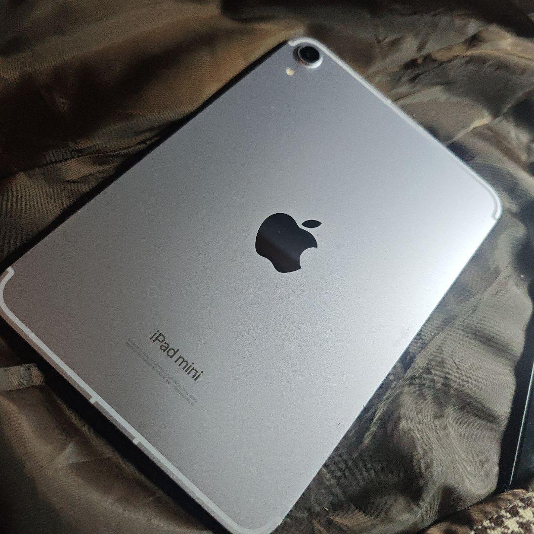iPad mini 7 Wi-Fi + Cellular 256GB 無キズ