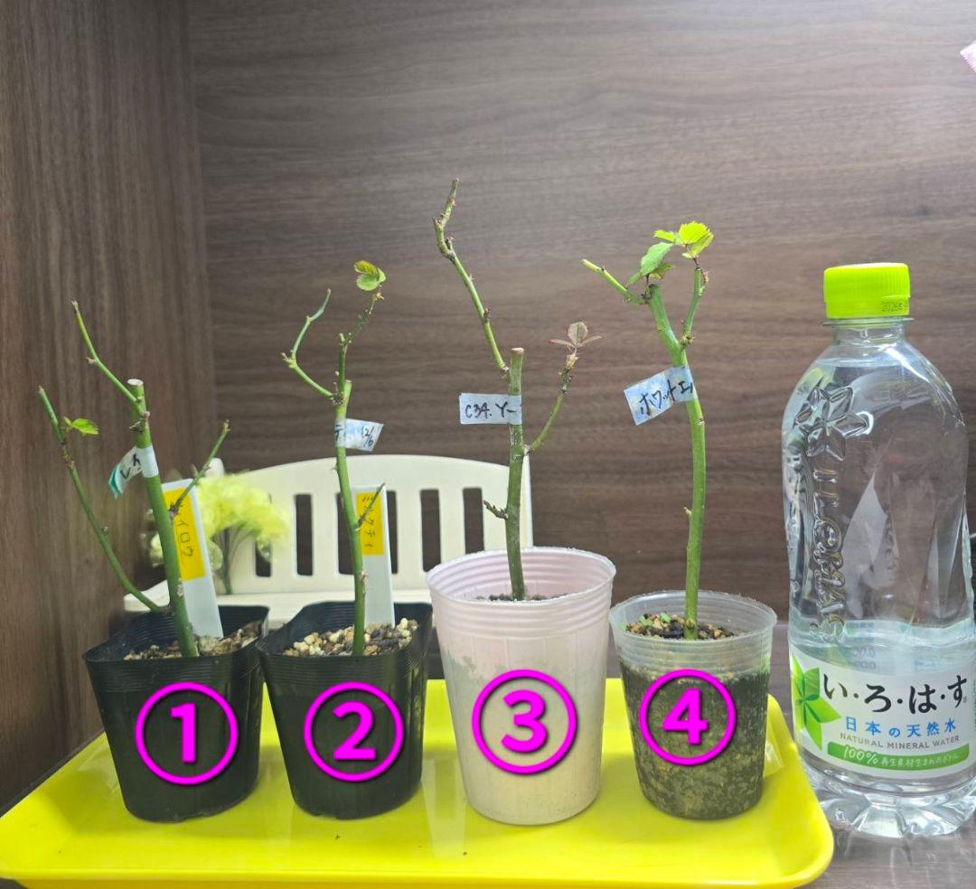 ①ご確認用ページ