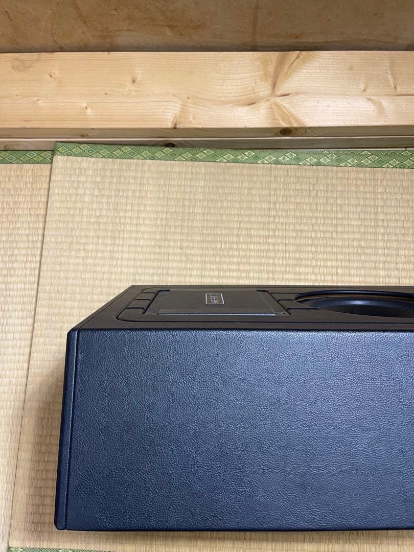 HERTZ デュアルドライバー サブウーファー