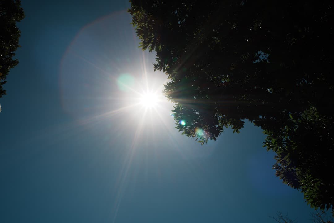 【極美品】Nikon Ai-s Nikkor 24mm F2.8 342 ニコン