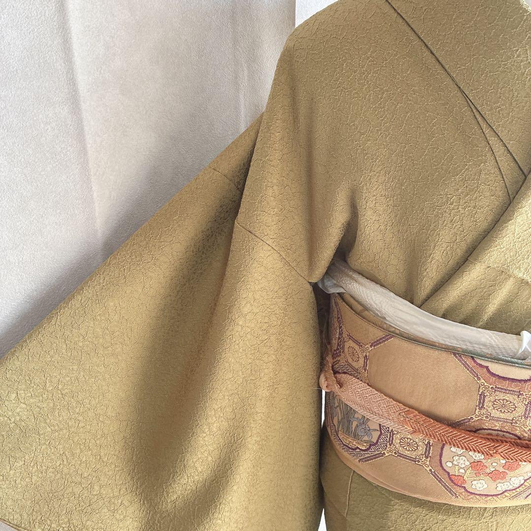 色無地　フルセット　着物　正絹　一つ紋　丹後ちりめん　共布 J10