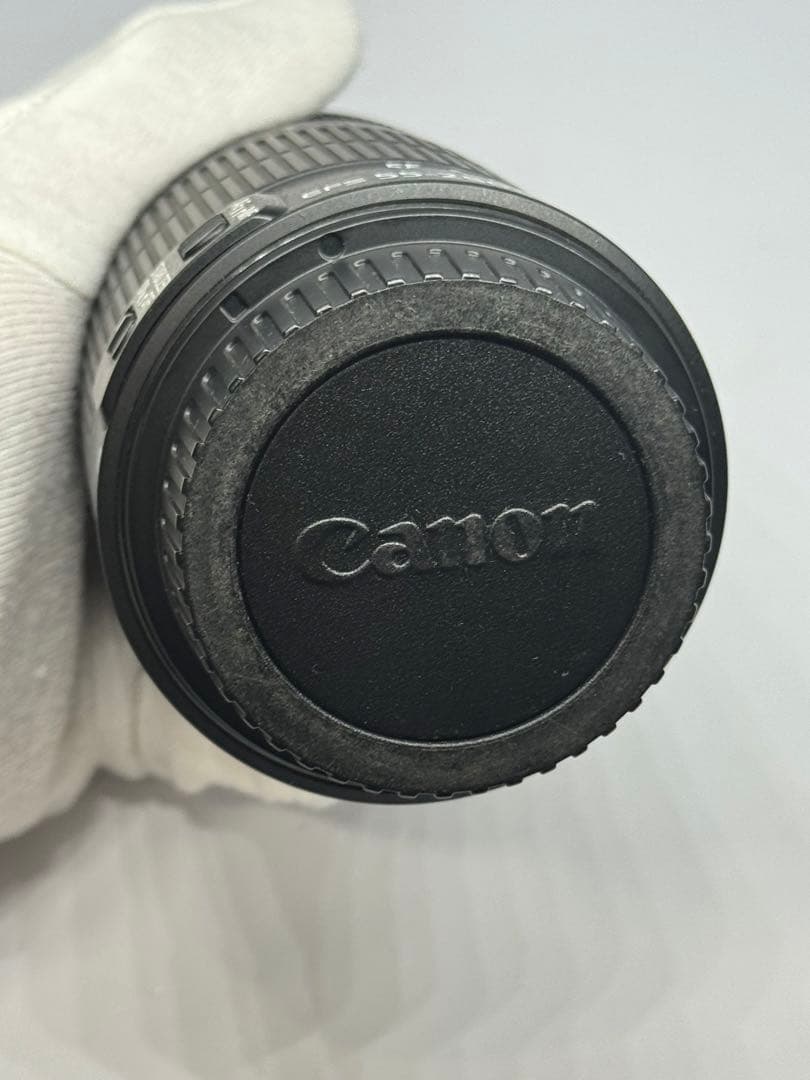 Canon EF-S55-250mm F4-5.6 IS Ⅱ