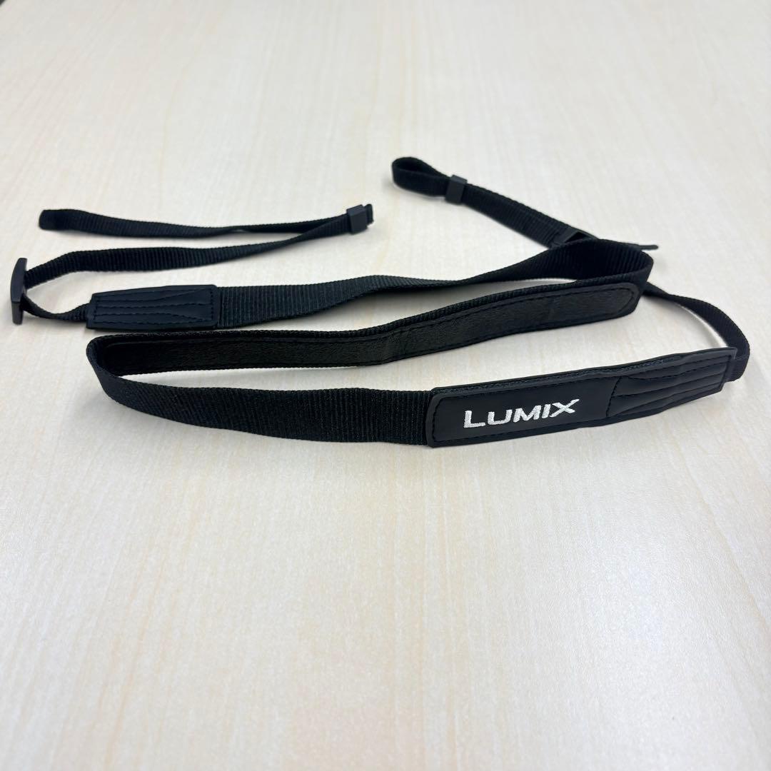 未使用級 Panasonic LUMIX S9 オレンジ18-40mm バッグ