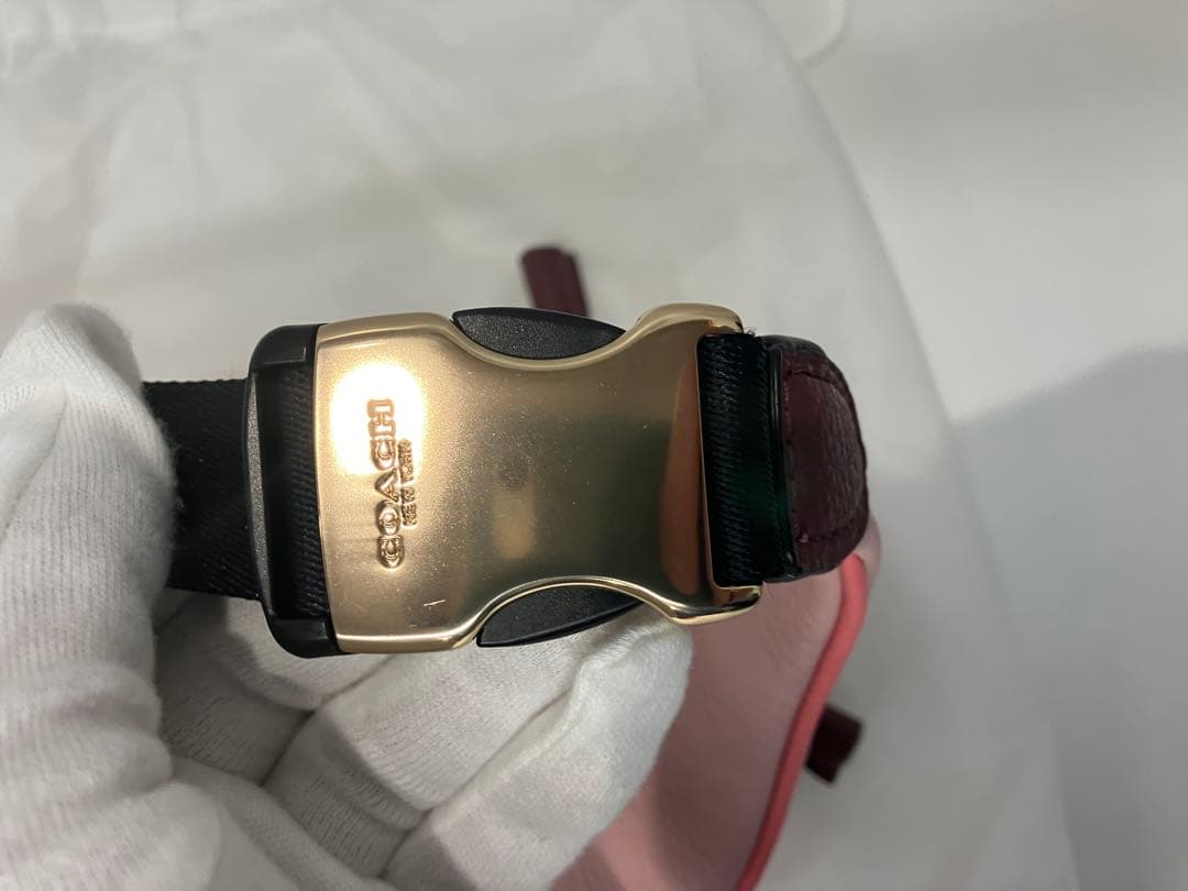 新品未使用品　COACH×Disney ボディバッグ　日本限定品