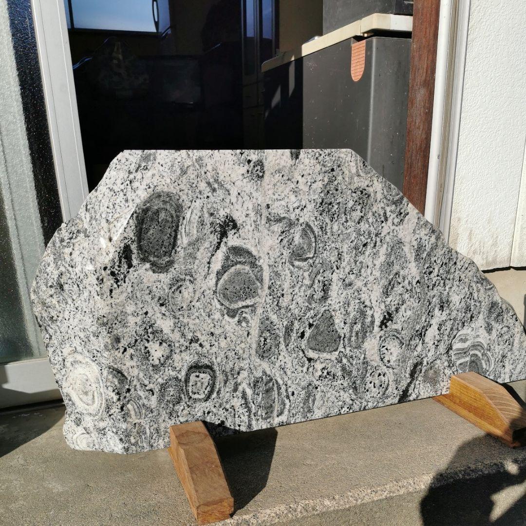 富山県　常願寺川産　ナポレオン石　42.5キロ　庭石　鑑賞石　石　置物　オブジェ