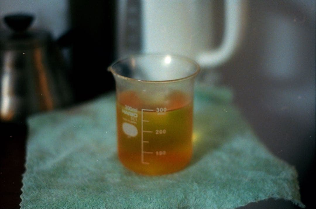 ライカ Elmar 50mm f2.8 Mマウント　作例有り