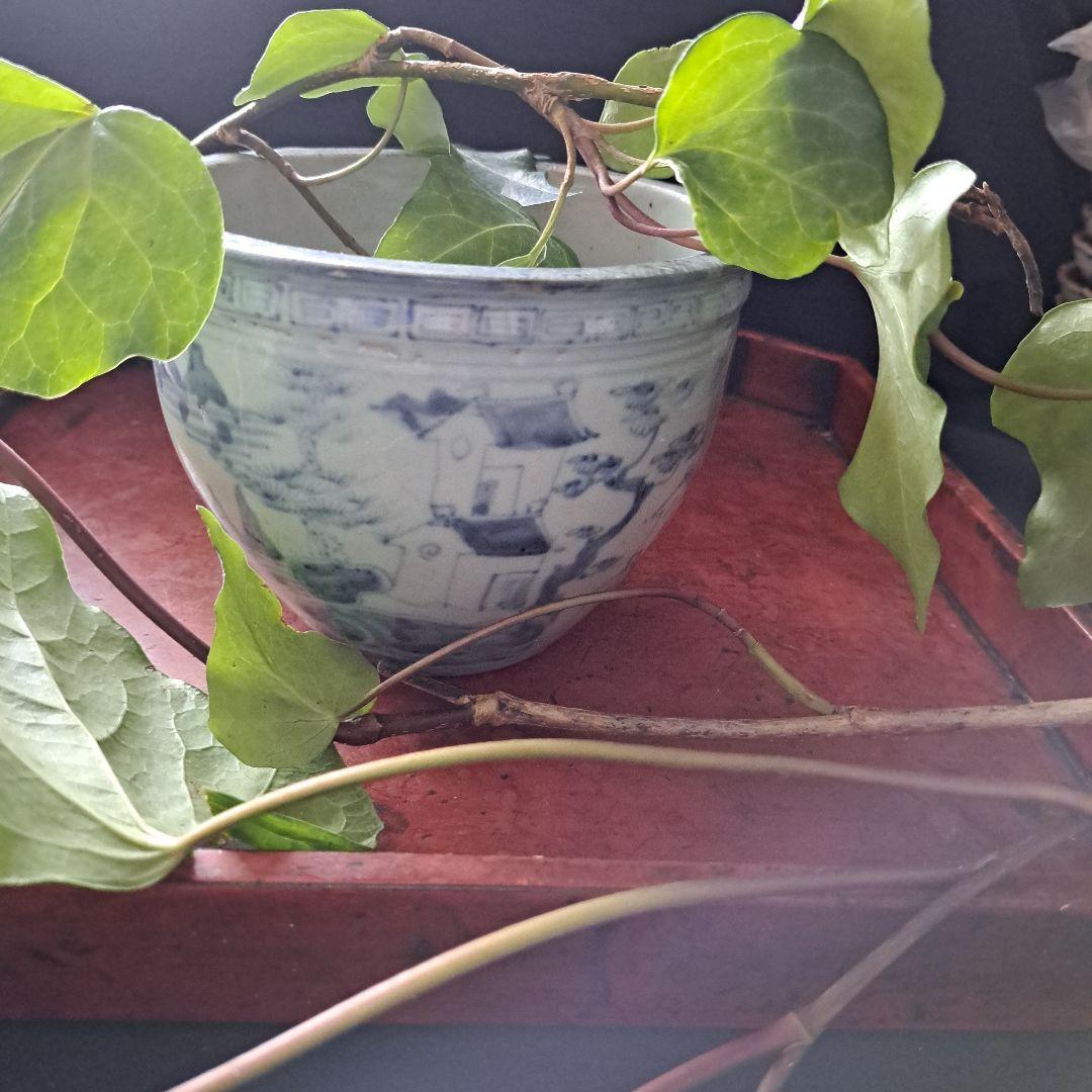 「名品！これが(江戸)初期伊万里の鉢」染付鉢(直径15cm 高さ11cm) 骨董