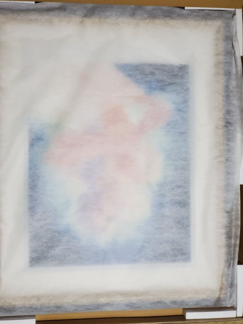 【○manmaru】いのまたむつみ 版画 コンドライト アールビバン