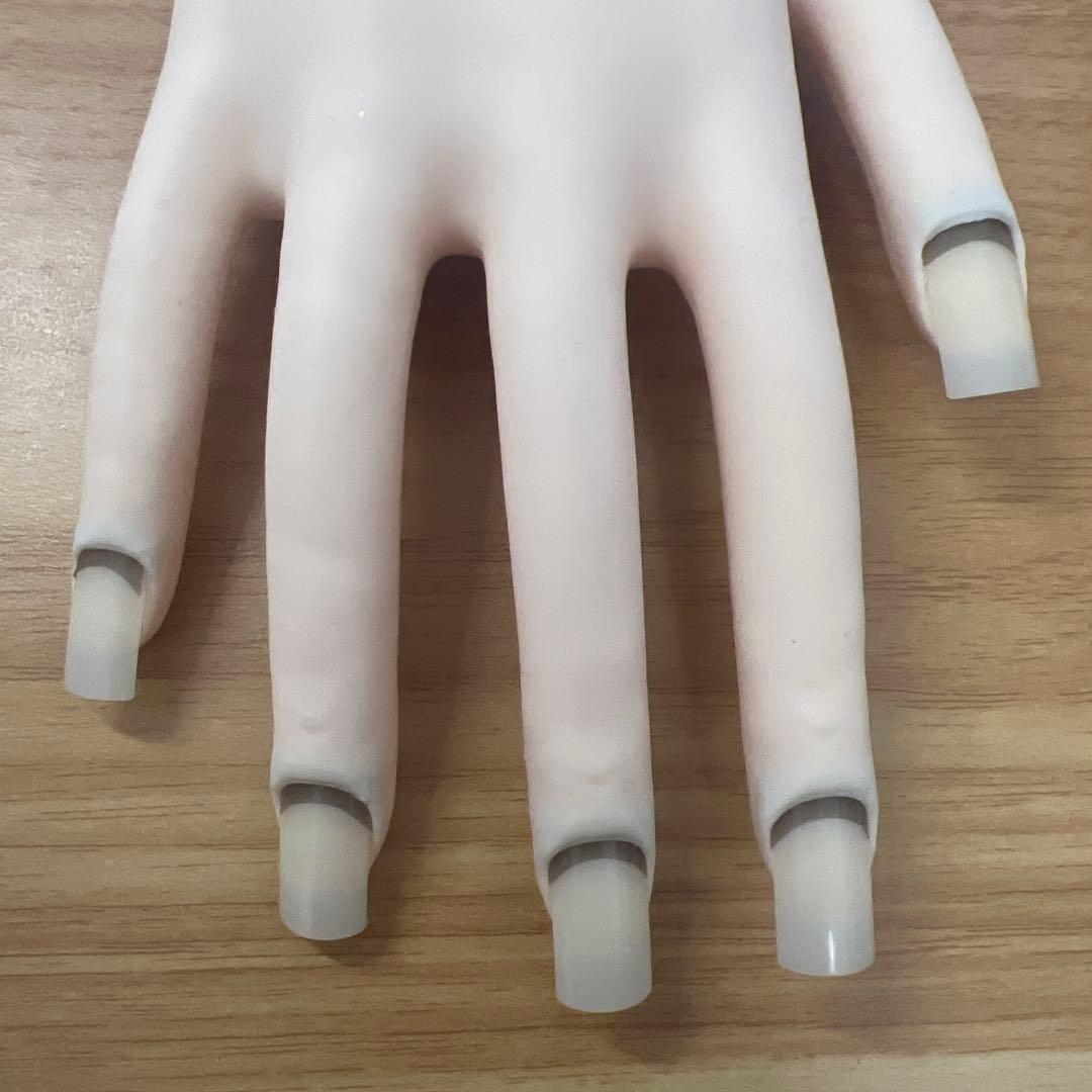 JNEC認定モデルハンド stモデルハンド ネイル