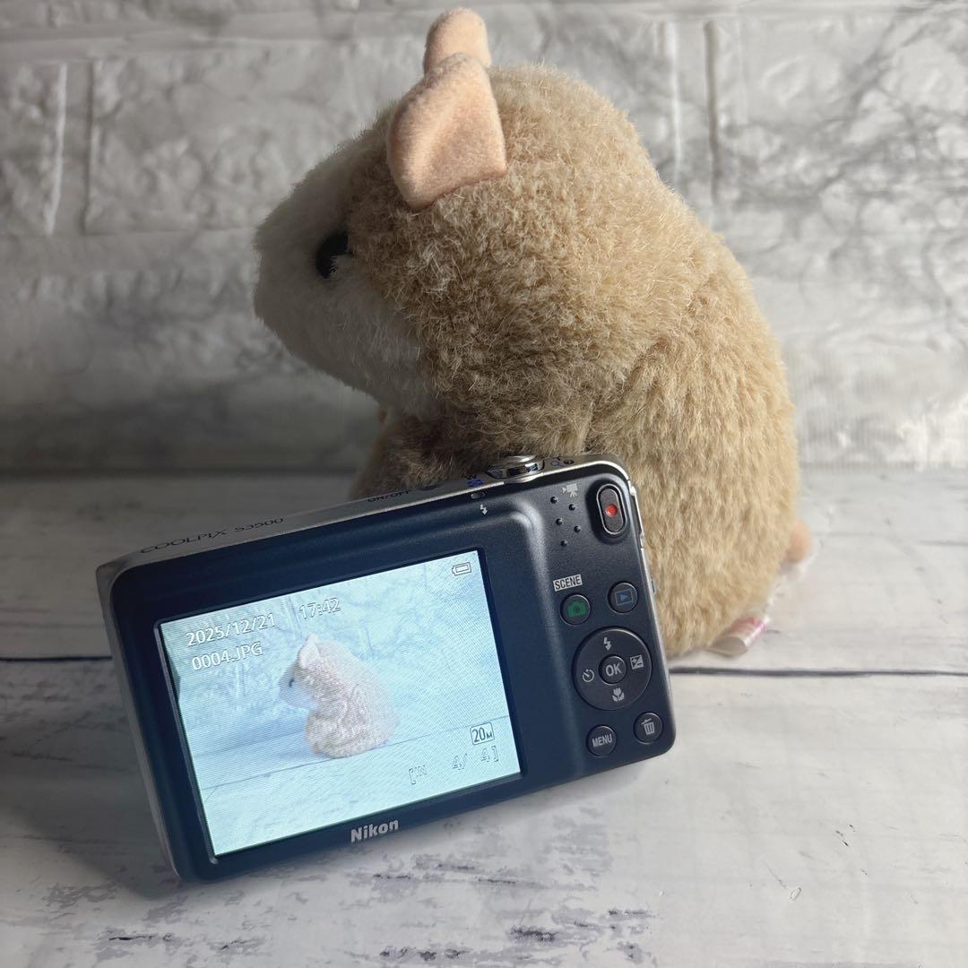 【美品】Nikon COOLPIXS3500 箱取説付