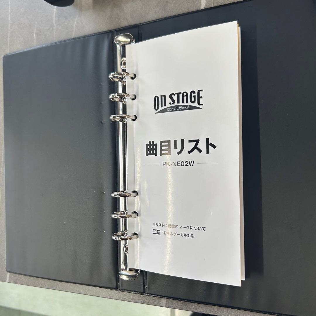 【動作確認済】オン・ステージ パーソナルカラオケ マイク2本付き