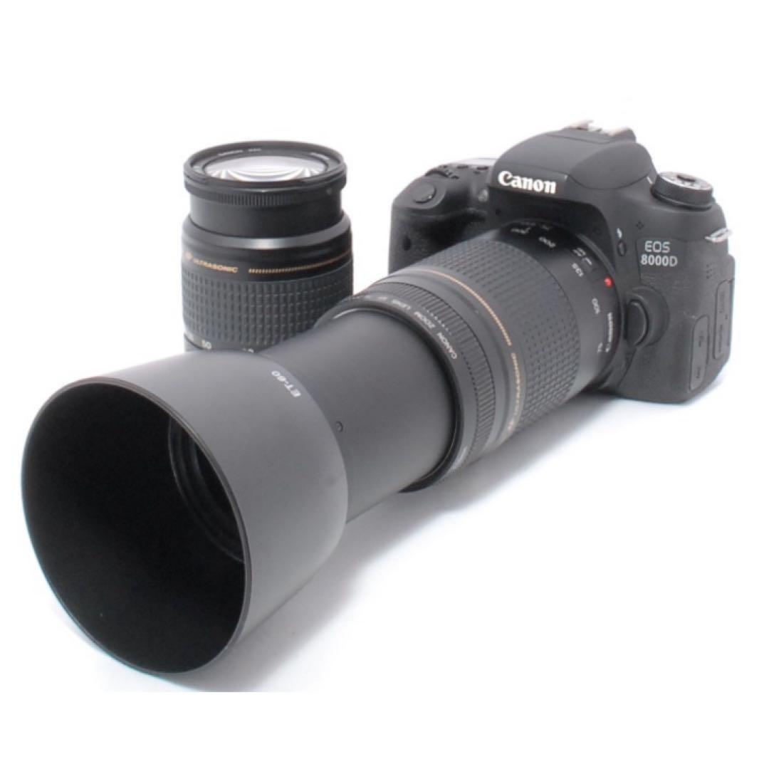 美品フルセット⭐️Canon EOS 8000D⭐️超望遠ダブルレンズ